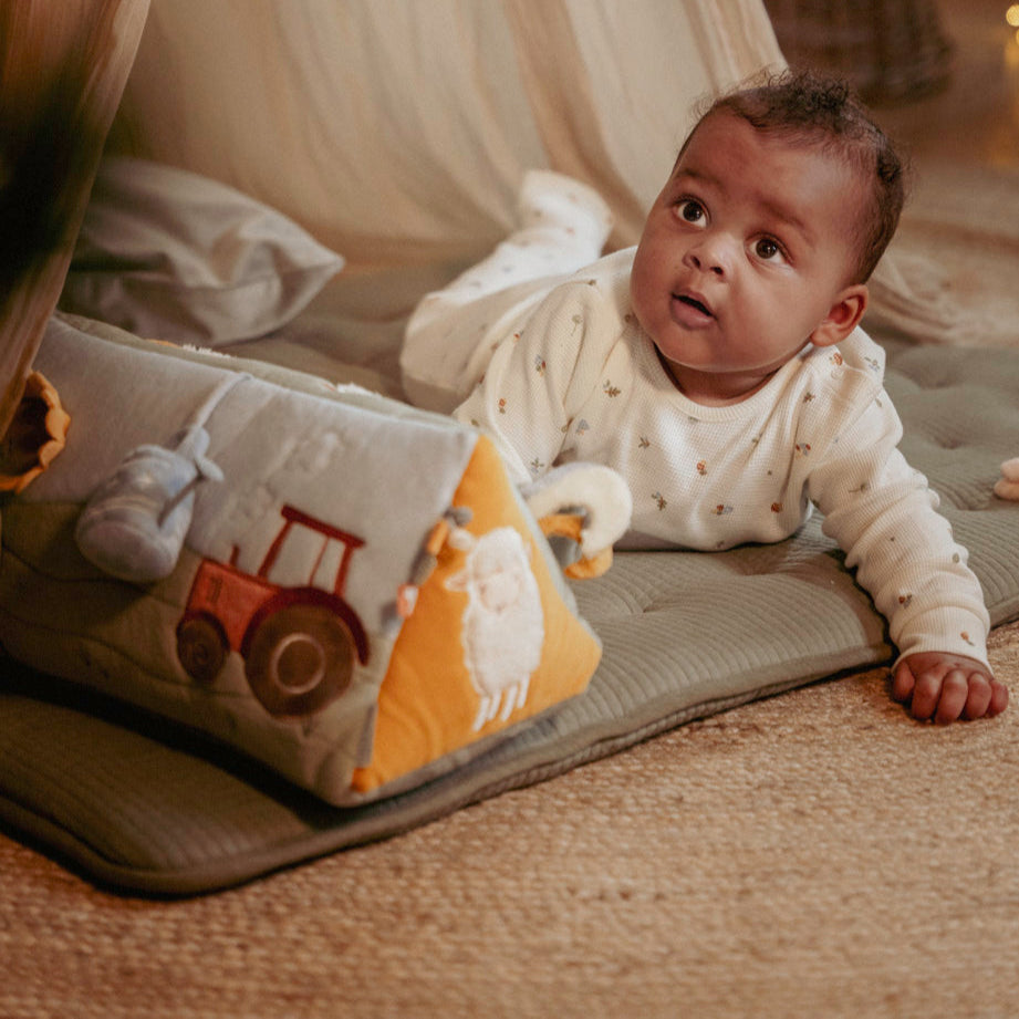 Activity triangle - Little Farm