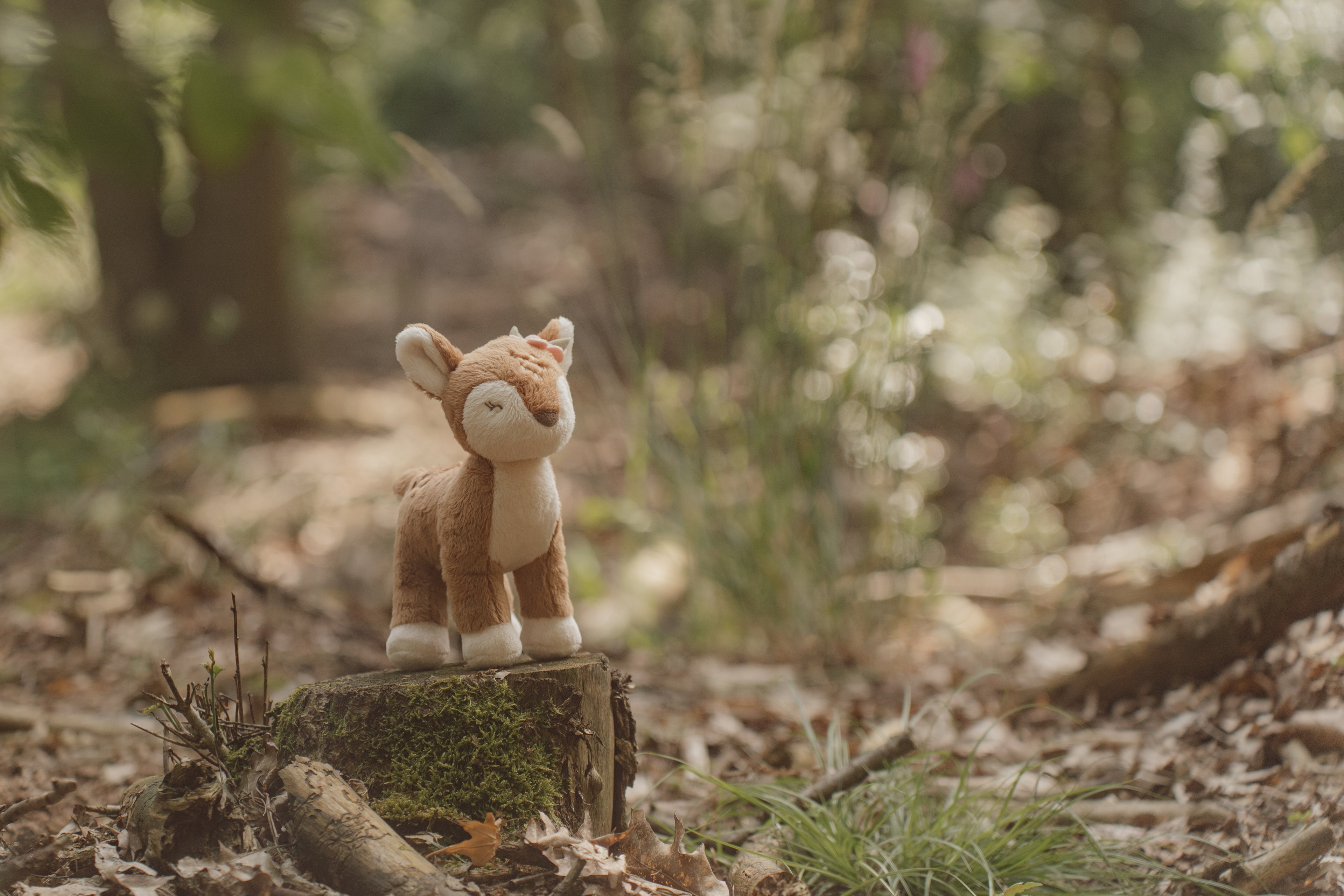 Little Cuddly deer - Fairy Garden