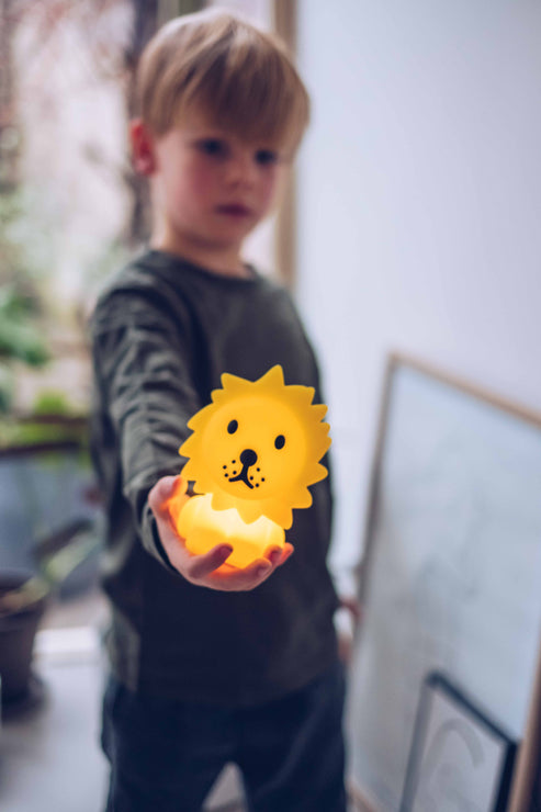 Mr.Maria Lion Bundle of Light lamp