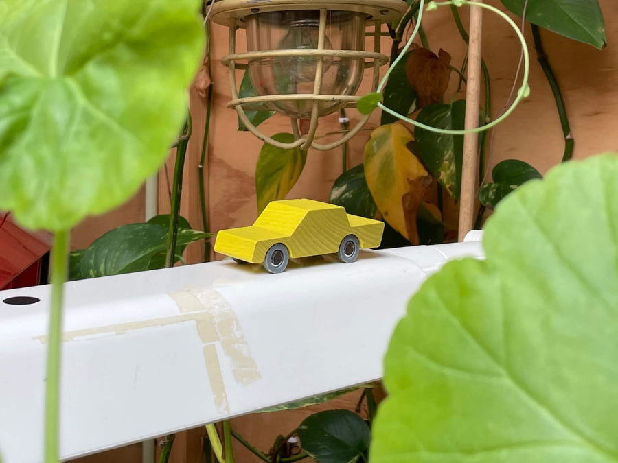 Waytoplay Back and Forth car - Yellow