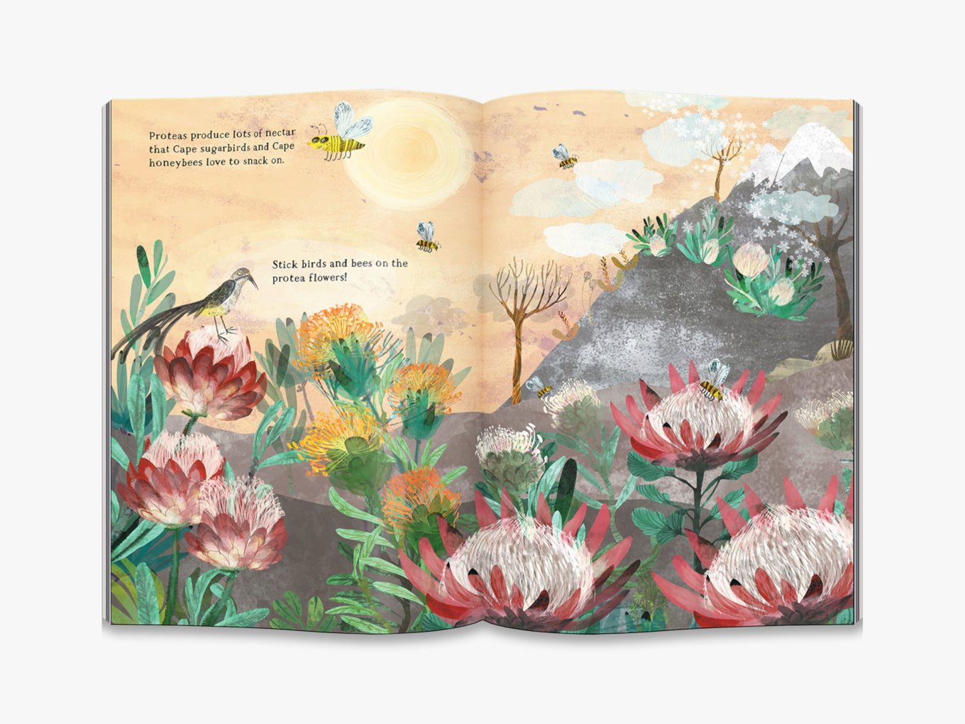 The Big Sticker Book of Blooms