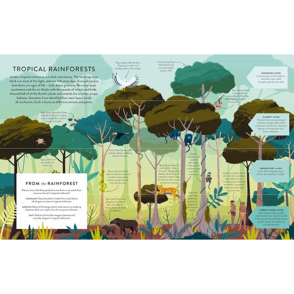 Lets Save our Planet: Forests (6-10y)