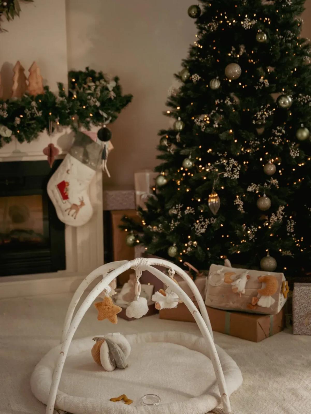 Activity Play Gym - Newborn Naturals