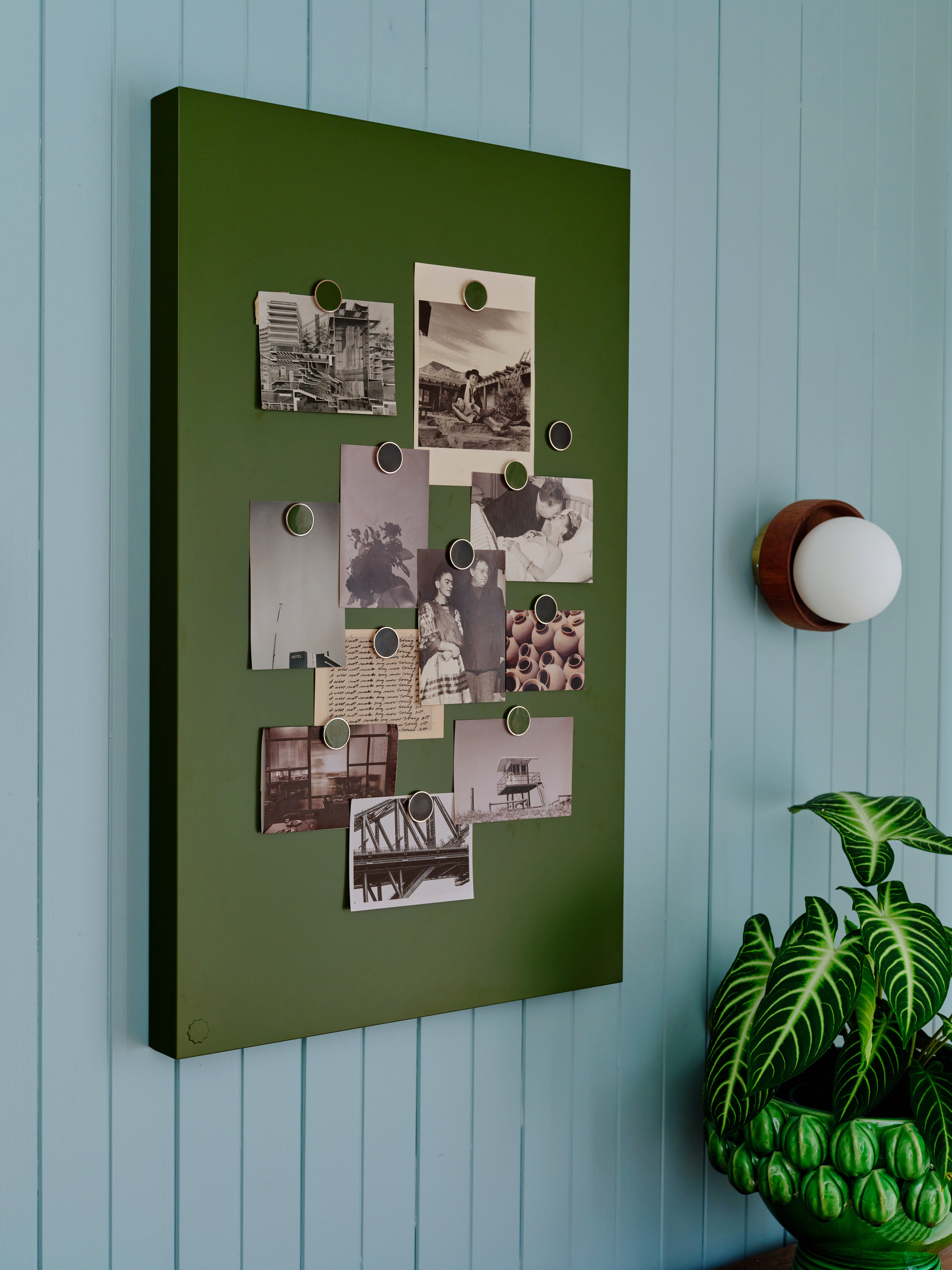 The Storyboard in Olive