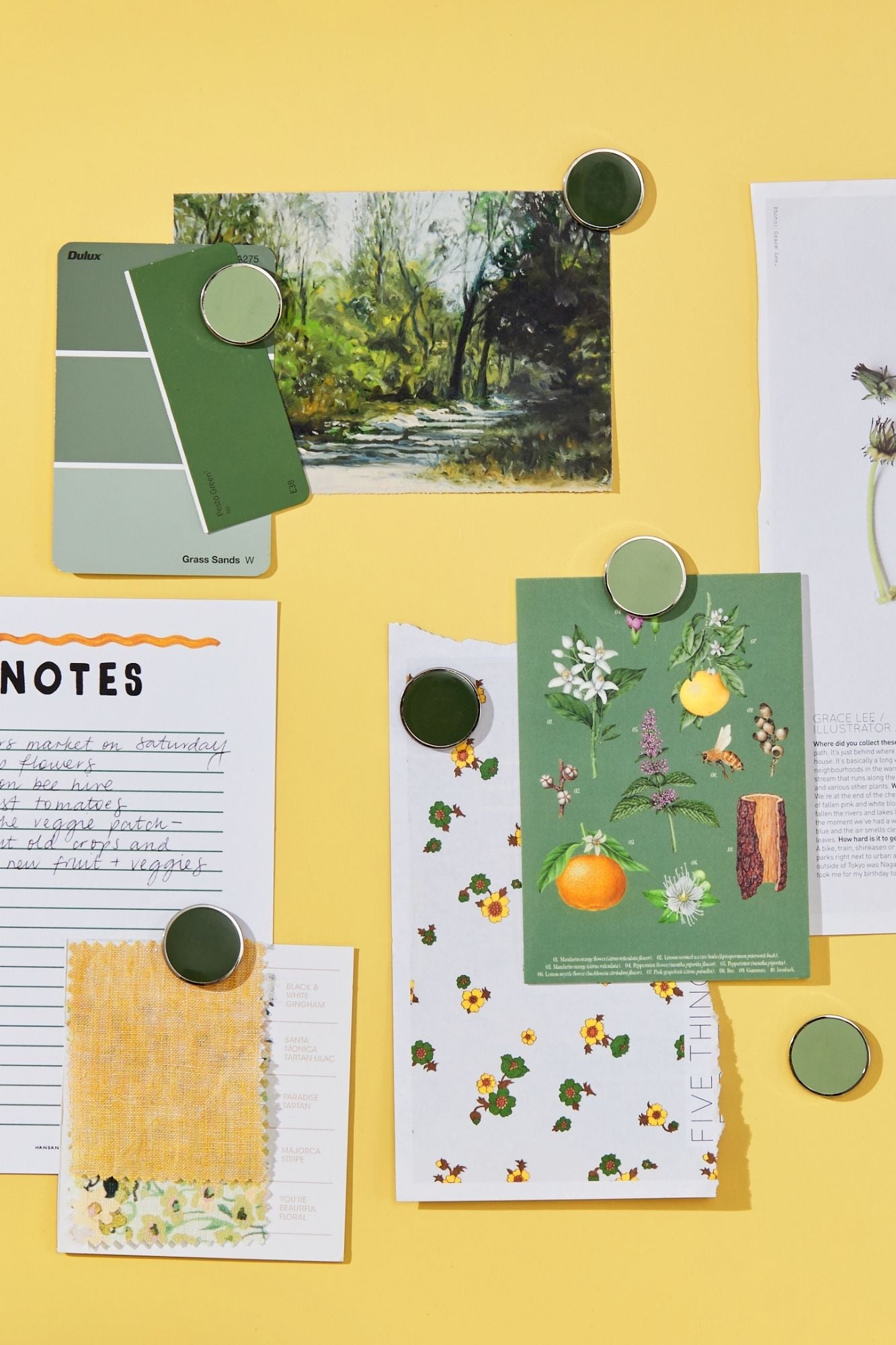 The Buttons in Sage (Pre-order)