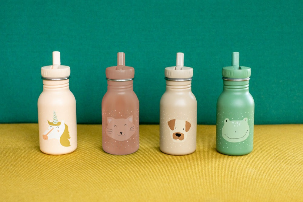 Trixie Bottle 350ml - Mrs. Cat