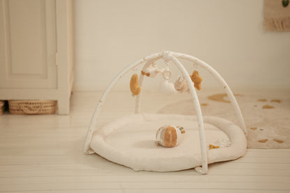 Activity Play Gym - Newborn Naturals