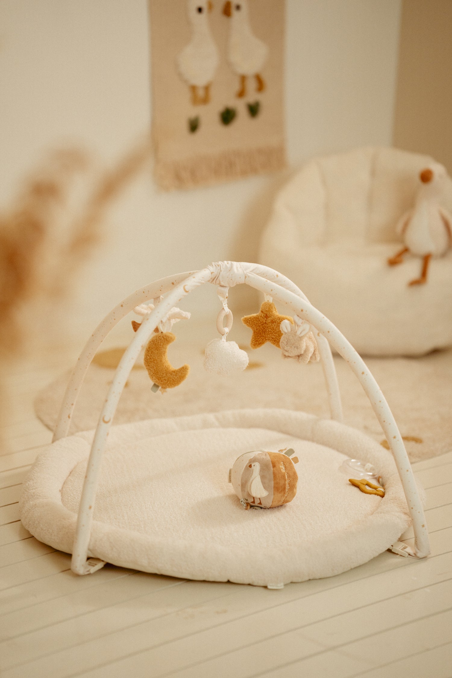 Activity Play Gym - Newborn Naturals