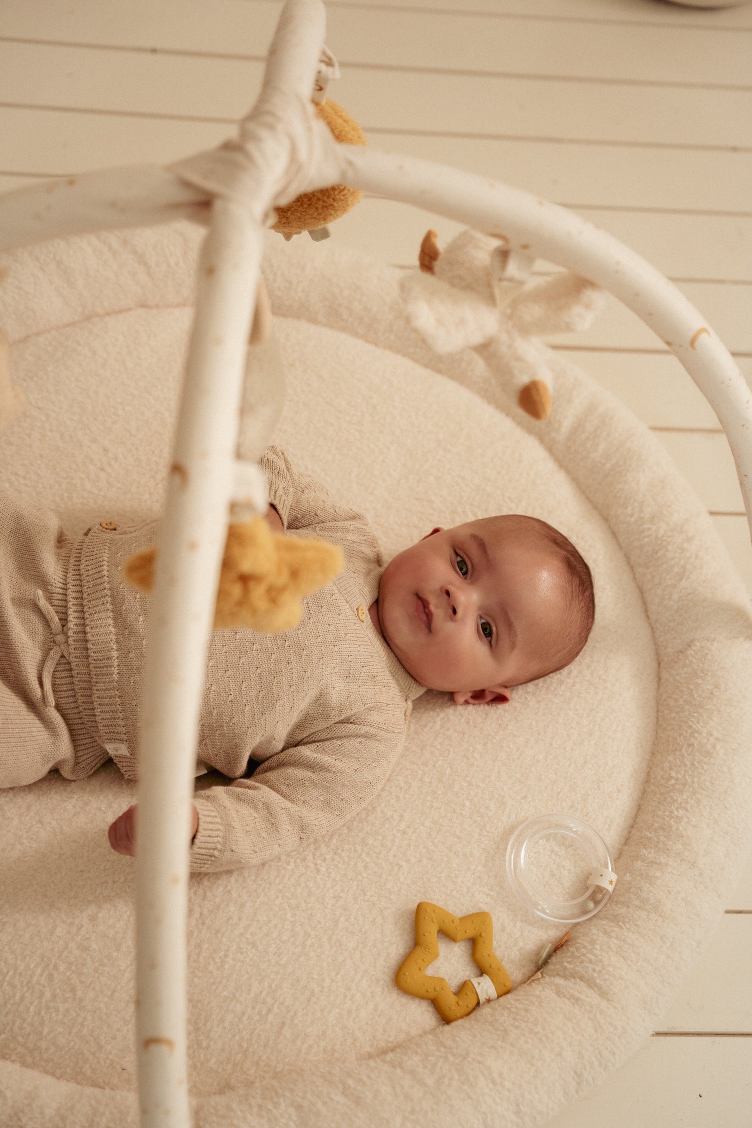 Activity Play Gym - Newborn Naturals
