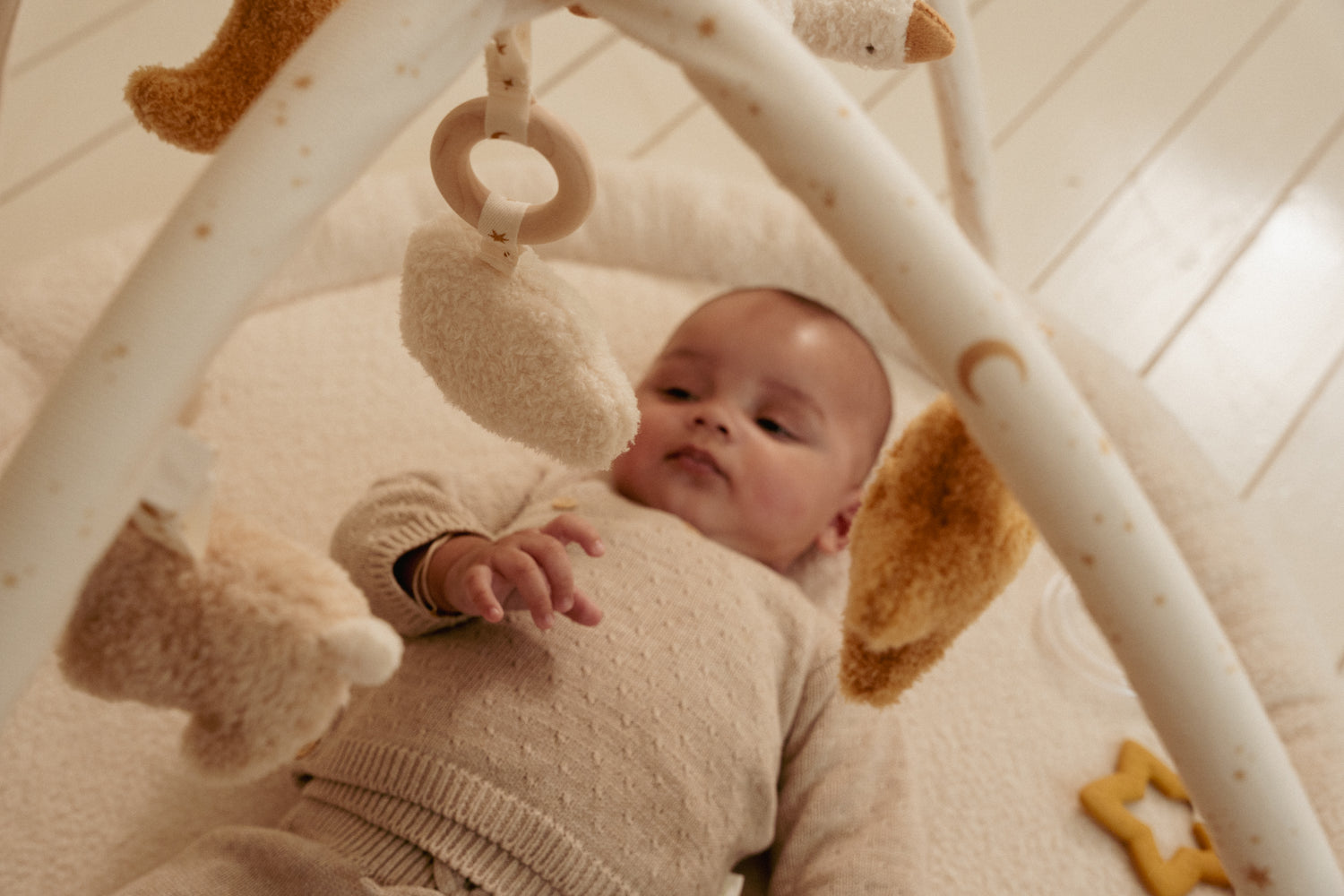 Activity Play Gym - Newborn Naturals