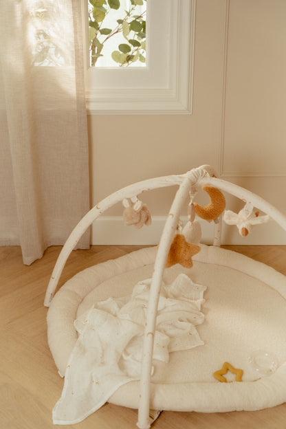 Activity Play Gym - Newborn Naturals