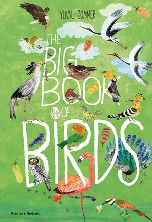 The Big Book of Birds (4-7 y)