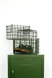 The Baskets In Olive